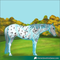 Horse Color:Thunderstruck Brown Tobiano Blanket Rabicano 