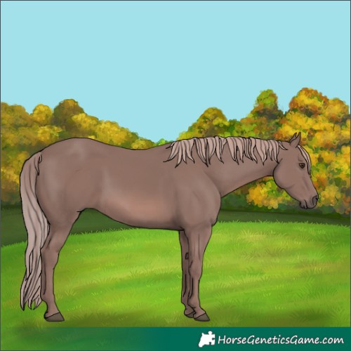 Horse Color:Platinum Chestnut 
