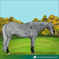 Horse Color:ERROR: UNKNOWN ANOMALY