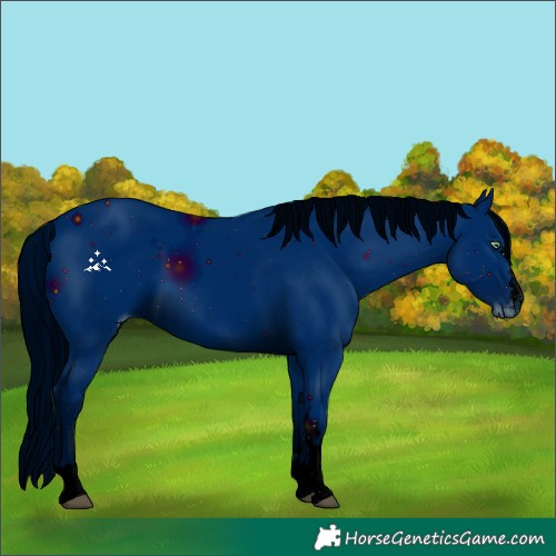 Horse Color:ERROR: UNKNOWN ANOMALY