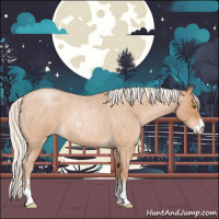 Horse Color:Silver Brown Roan Pearl Sabino