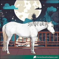 Horse Color:White Spotted Bay Pearl Dun Sabino Rabicano 