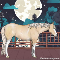 Horse Color:White Spotted Silver Brown Pearl Dun Sabino 