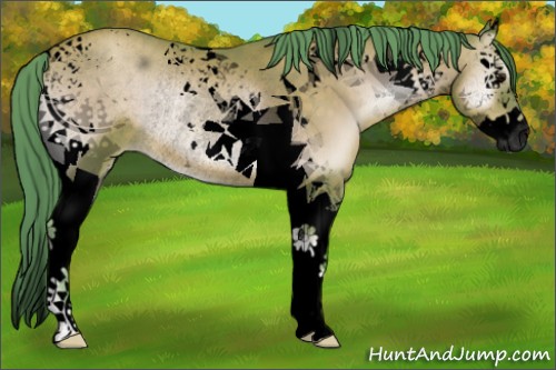 Horse Color:Void Watercolor Brown Pearl Onyx Splash Tobiano Rabicano