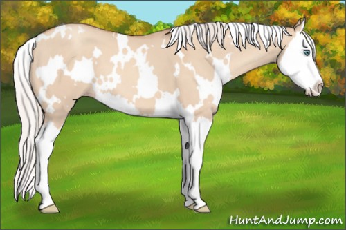 Horse Color:White Spotted Silver Classic Champagne Dun Sabino Splash 