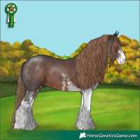 Horse Color:White Spotted Liver Chestnut Tobiano Rabicano 