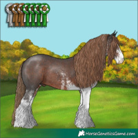 Horse Color:White Spotted Liver Chestnut Tobiano Rabicano 
