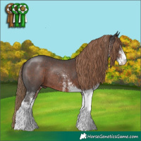 Horse Color:White Spotted Liver Chestnut Tobiano Rabicano 