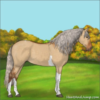 Horse Color:Silver Buckskin Dun Tobiano 