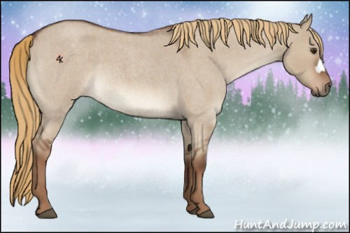 Horse Color:Liver Red Dun Roan 