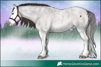 Horse Color:Platinum Liver Red Roan Splash 