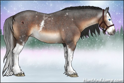 Horse Color:Gray White Spotted Liver Red Roan Splash