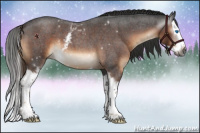 Horse Color:Gray White Spotted Liver Red Roan Splash 