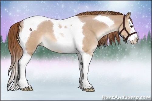 Horse Color:Red Dun Roan Splash Tobiano 