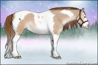 Horse Color:Red Dun Roan Splash Tobiano 