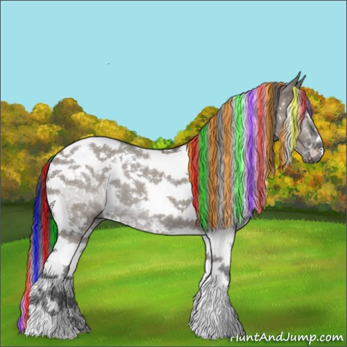 Horse Color:Painted White Spotted Grullo Tobiano 