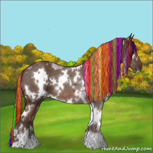 Horse Color:ERROR: UNKNOWN ANOMALY