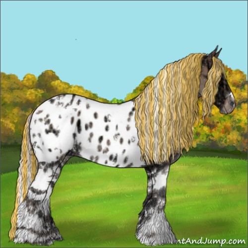 Horse Color:Painted White Spotted Silver Grullo Ice Tobiano Appaloosa 