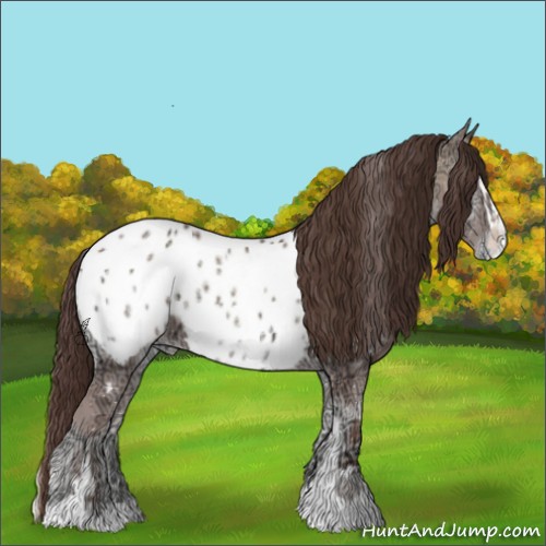 Horse Color:Classic Champagne Ice Onyx Sabino Appaloosa 