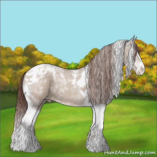 Horse Color:Classic Champagne Dun Sabino Tobiano Appaloosa 