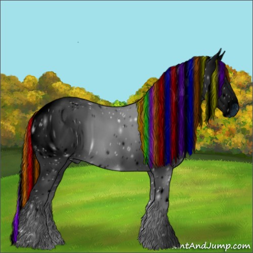 Horse Color:ERROR: UNKNOWN ANOMALY
