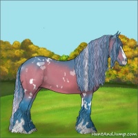 Horse Color:Painted Watercolor White Spotted Brown Sabino 