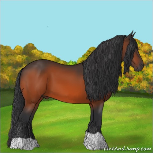 Horse Color:Brown 