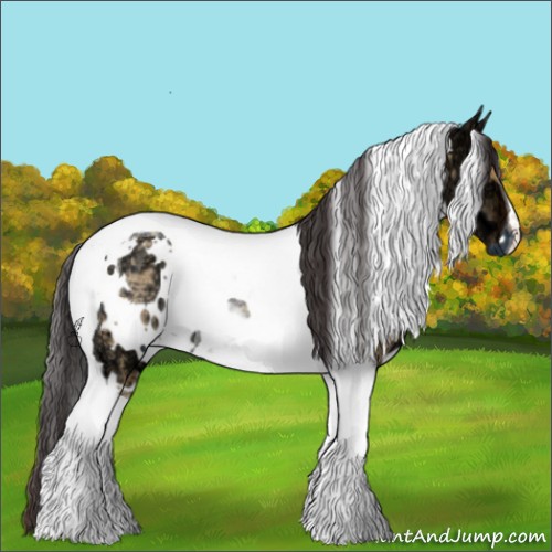 Horse Color:White Spotted Buckskin Ice Dun Tobiano Rabicano 