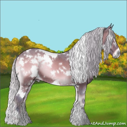 Horse Color:Watercolor White Spotted Silver Bay Onyx 