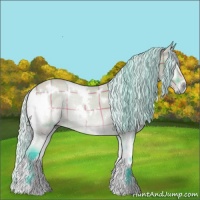 Horse Color:Watercolor Plaid  White Spotted Silver Bay Chinchilla Onyx 