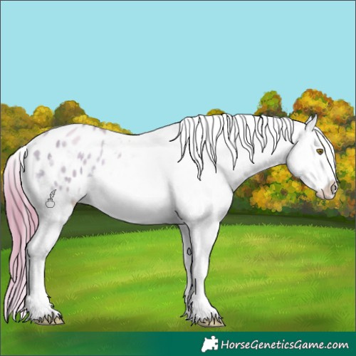 Horse Color:Smoky Blue Onyx Pearl Tobiano Appaloosa 