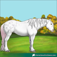 Horse Color:Smoky Blue Onyx Pearl Tobiano Varnish 