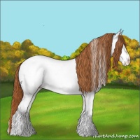 Horse Color:Bay Ice Pearl Onyx Appaloosa 