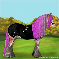 Horse Color:Painted Watercolor Silver Bay Sabino Frame Appaloosa 