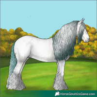Horse Color:Gray Watercolor Bay Ice Onyx Tobiano Appaloosa 