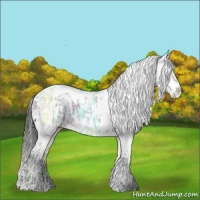 Horse Color:Black Ice Sabino Varnish 