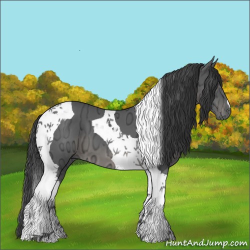 Horse Color:Black Ice Tobiano
