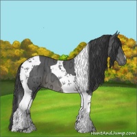 Horse Color:Black Ice Tobiano