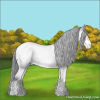 Horse Color:Sable Champagne Chinchilla Dun Tobiano Appaloosa