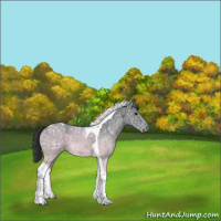 Horse Color:Black Chinchilla Ice Tobiano