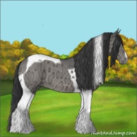 Horse Color:Black Ice Tobiano