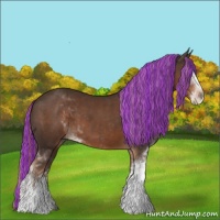Horse Color:Painted Liver Chestnut Sabino 