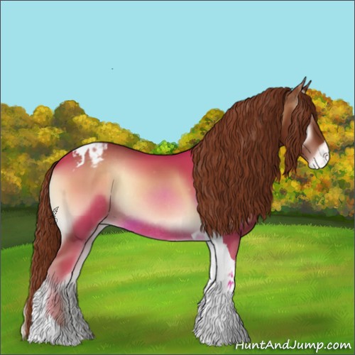 Horse Color:Red Onyx Tobiano Appaloosa Rabicano 