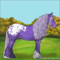 Horse Color:Watercolor Silver Brown Tobiano Appaloosa 