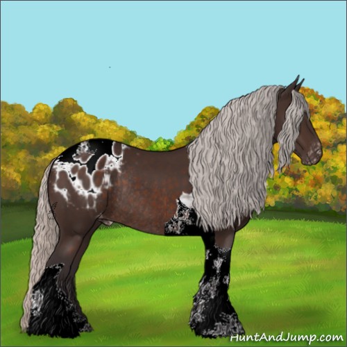 Horse Color:Silver Brown Tobiano Appaloosa Rabicano 