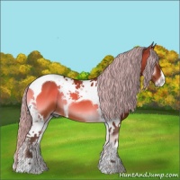 Horse Color:Silver Bay Onyx Tobiano