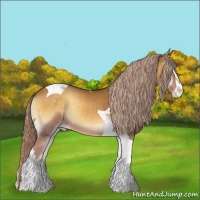 Horse Color:Palomino Onyx Sabino Tobiano Varnish 