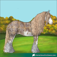 Horse Color:Plaid  White Spotted Chocolate Palomino Ice 