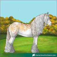 Horse Color:Palomino Onyx Sabino 