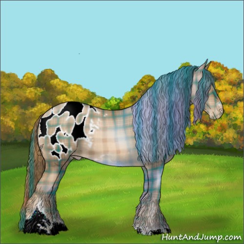Horse Color:Plaid  Liver Chestnut Pearl Sabino Tobiano Appaloosa 
